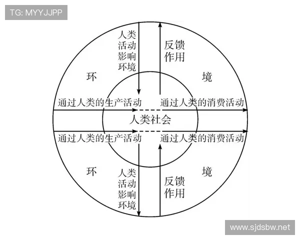 萨卡从多面手到绝对核心的角色演变解析 萨卡从多面手到绝对核心的角色演变解析